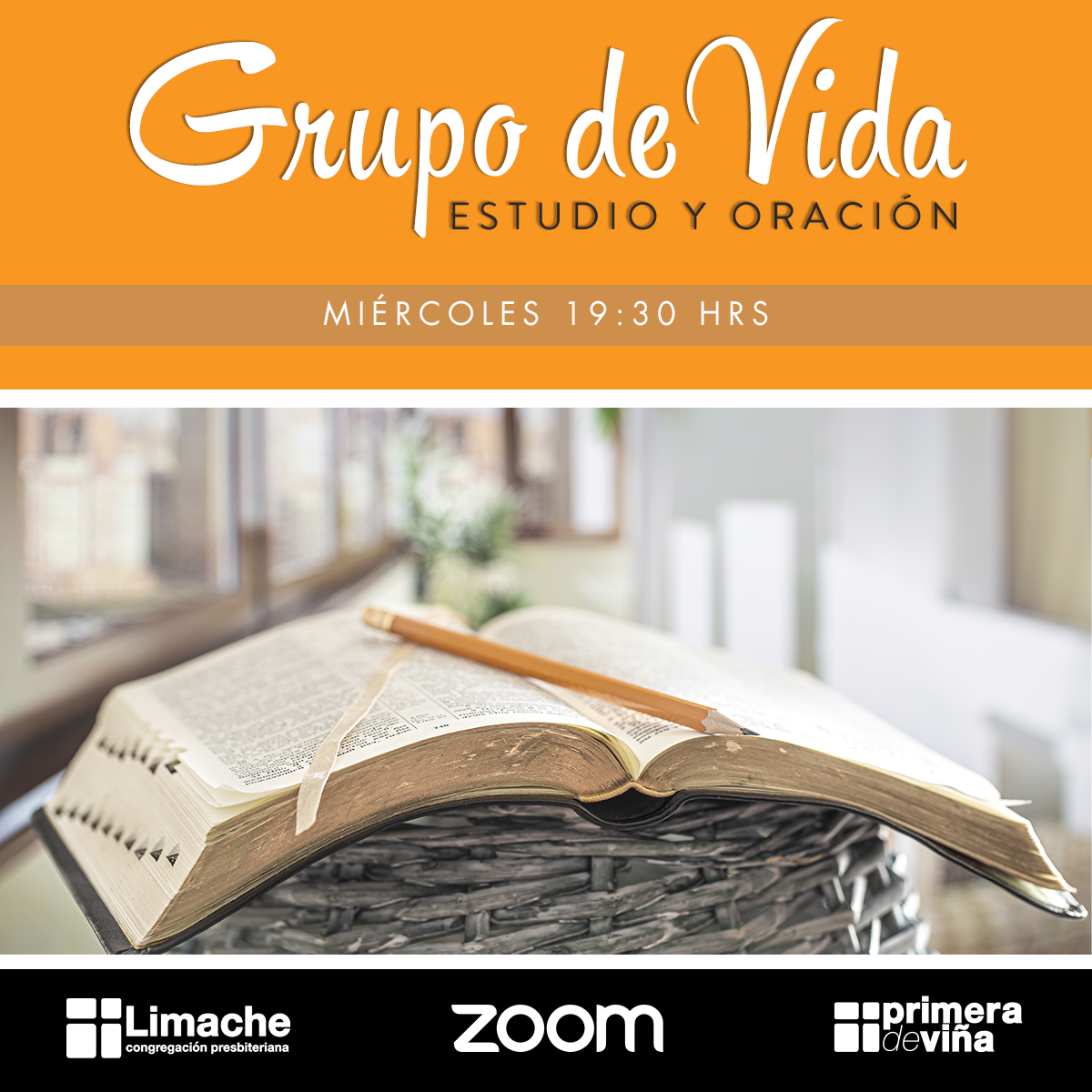 Grupo_de_Vida